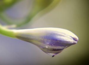 untitled shoot 20150104 edit edit