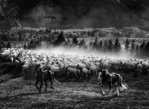 otematata workshop october 12  2015151012 edit