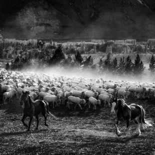 otematata workshop october 12  2015151012 edit