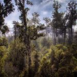 untitled shoot 20210505 hdr edit