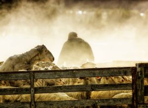 otematata workshop october 12  2015151012 edit